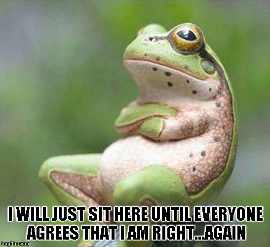 Or I could just croak? |  I WILL JUST SIT HERE UNTIL EVERYONE AGREES THAT I AM RIGHT...AGAIN | image tagged in frog thinking | made w/ Imgflip meme maker