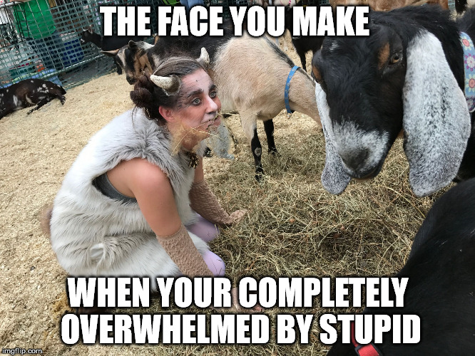 I'm with Stupid | THE FACE YOU MAKE; WHEN YOUR COMPLETELY OVERWHELMED BY STUPID | image tagged in special kind of stupid,stupid girl meme,this is why you're stupid,stupid people be like,you can't fix stupid | made w/ Imgflip meme maker
