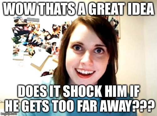 Overly | WOW THATS A GREAT IDEA DOES IT SHOCK HIM IF HE GETS TOO FAR AWAY??? | image tagged in overly | made w/ Imgflip meme maker