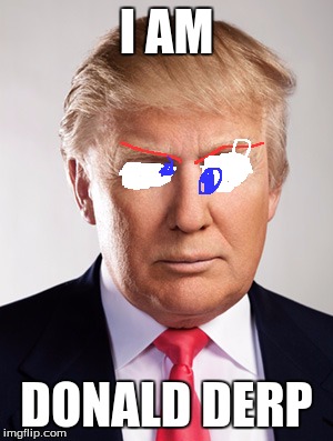 Donald Trump | I AM; DONALD DERP | image tagged in donald trump | made w/ Imgflip meme maker