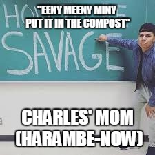 "EENY MEENY MINY PUT IT IN THE COMPOST"; CHARLES' MOM (HARAMBE-NOW) | image tagged in wolfieraps,therents | made w/ Imgflip meme maker