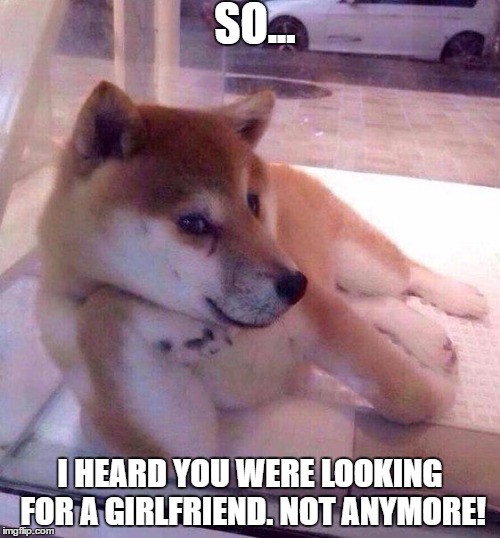 Flirting Doge | SO... I HEARD YOU WERE LOOKING FOR A GIRLFRIEND. NOT ANYMORE! | image tagged in flirting doge | made w/ Imgflip meme maker