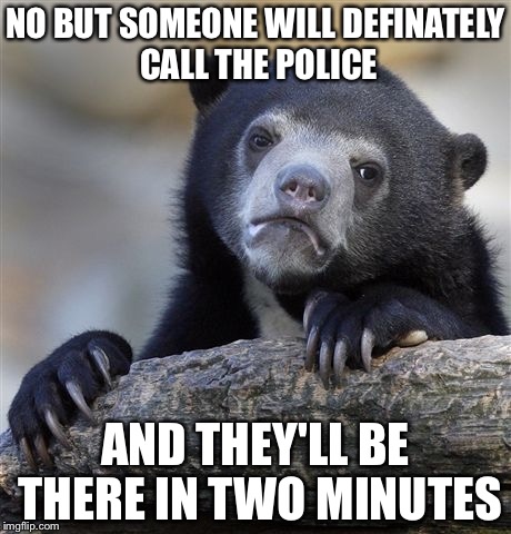 Confession Bear Meme | NO BUT SOMEONE WILL DEFINATELY CALL THE POLICE AND THEY'LL BE THERE IN TWO MINUTES | image tagged in memes,confession bear | made w/ Imgflip meme maker