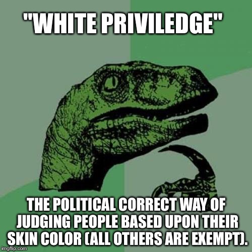 Philosoraptor Meme | "WHITE PRIVILEDGE" THE POLITICAL CORRECT WAY OF JUDGING PEOPLE BASED UPON THEIR SKIN COLOR (ALL OTHERS ARE EXEMPT). | image tagged in memes,philosoraptor | made w/ Imgflip meme maker