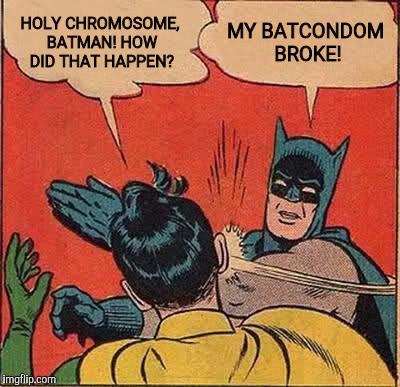 Batman Slapping Robin Meme | HOLY CHROMOSOME, BATMAN! HOW DID THAT HAPPEN? MY BATCONDOM BROKE! | image tagged in memes,batman slapping robin | made w/ Imgflip meme maker