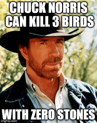 Chuck Norris Meme | CHUCK NORRIS CAN KILL 3 BIRDS; WITH ZERO STONES | image tagged in memes,chuck norris | made w/ Imgflip meme maker
