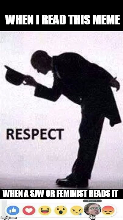 tip hat respect | WHEN I READ THIS MEME WHEN A SJW OR FEMINIST READS IT | image tagged in tip hat respect | made w/ Imgflip meme maker