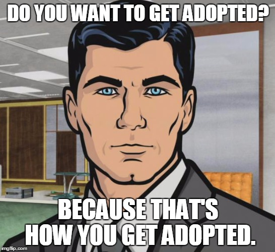 Archer Meme | DO YOU WANT TO GET ADOPTED? BECAUSE THAT'S HOW YOU GET ADOPTED. | image tagged in memes,archer | made w/ Imgflip meme maker