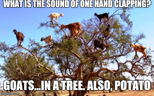 Goats..... | WHAT IS THE SOUND OF ONE HAND CLAPPING? GOATS...IN A TREE. ALSO, POTATO | image tagged in goats | made w/ Imgflip meme maker