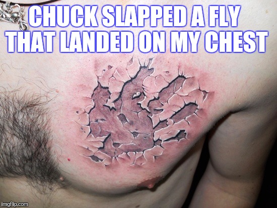 CHUCK SLAPPED A FLY THAT LANDED ON MY CHEST | made w/ Imgflip meme maker
