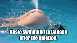 CxACS2C...2I.jpg | Rosie swimming to Canada after the election. | image tagged in cxacs2c2ijpg | made w/ Imgflip meme maker