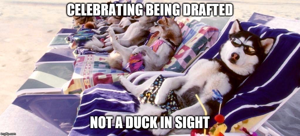 Huskies at beach | CELEBRATING BEING DRAFTED; NOT A DUCK IN SIGHT | image tagged in huskies at beach | made w/ Imgflip meme maker