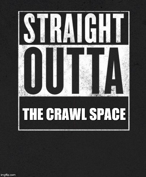 Straight Outta X blank template | THE CRAWL SPACE | image tagged in straight outta x blank template | made w/ Imgflip meme maker