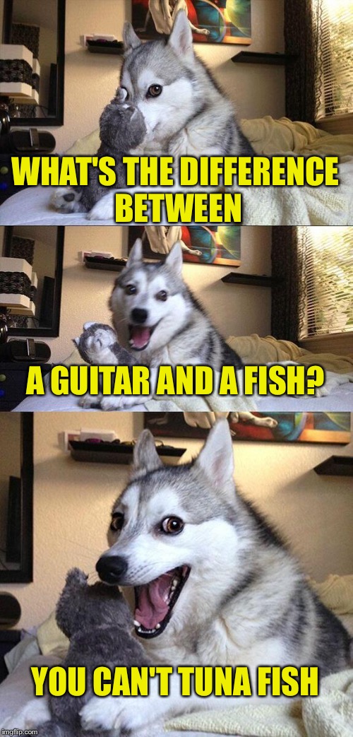Bad Pun Dog | WHAT'S THE DIFFERENCE BETWEEN; A GUITAR AND A FISH? YOU CAN'T TUNA FISH | image tagged in memes,bad pun dog | made w/ Imgflip meme maker