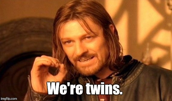 One Does Not Simply Meme | We're twins. | image tagged in memes,one does not simply | made w/ Imgflip meme maker