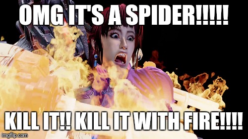 OMG IT'S A SPIDER!!!!! KILL IT!! KILL IT WITH FIRE!!!! | made w/ Imgflip meme maker