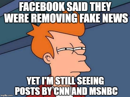 Futurama Fry Meme | FACEBOOK SAID THEY WERE REMOVING FAKE NEWS; YET I'M STILL SEEING POSTS BY CNN AND MSNBC | image tagged in memes,futurama fry | made w/ Imgflip meme maker