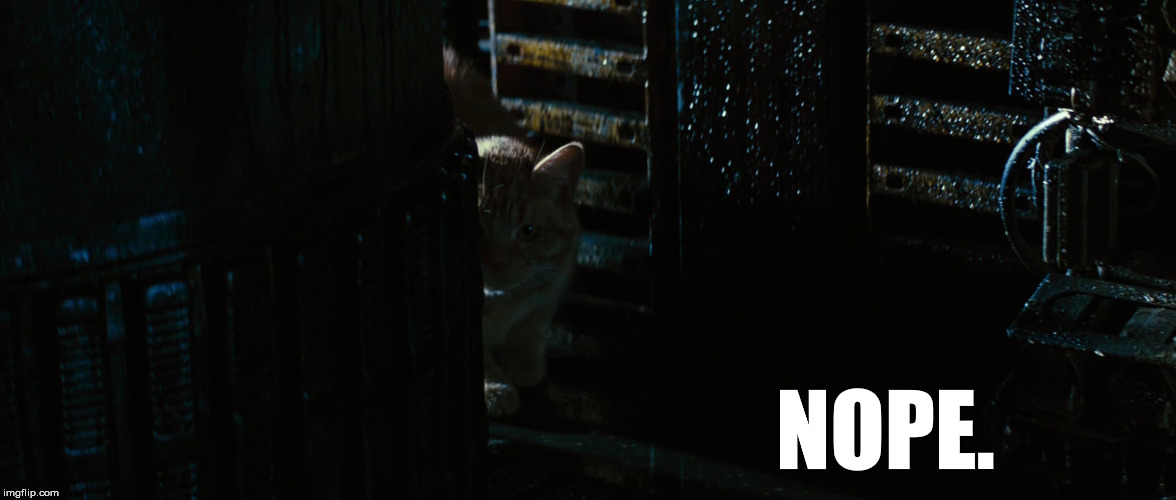 Too Spoopy 4 This Space Cat | NOPE. | image tagged in alien nope jonesy fear afraid no | made w/ Imgflip meme maker