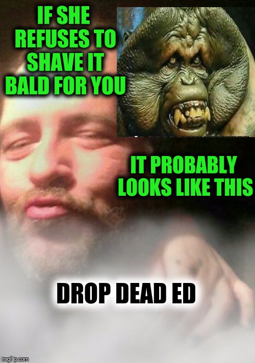 Image tagged in drop dead ed Imgflip