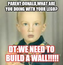 PARENT:DONALD,WHAT ARE YOU DOING WITH YOUR LEGO? DT:WE NEED TO BUILD A WALL!!!!! | image tagged in dt as a kid | made w/ Imgflip meme maker
