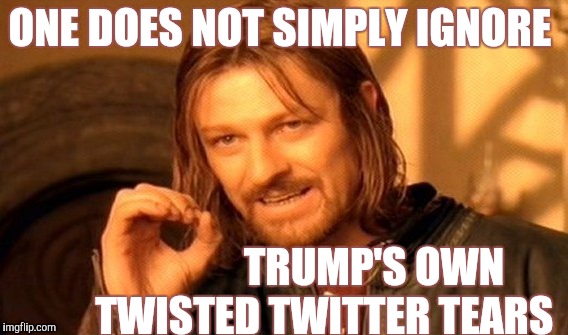 One Does Not Simply Meme | ONE DOES NOT SIMPLY IGNORE TRUMP'S OWN         TWISTED TWITTER TEARS | image tagged in memes,one does not simply | made w/ Imgflip meme maker