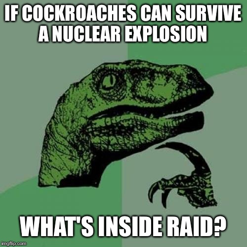 Philosoraptor Meme | IF COCKROACHES CAN SURVIVE A NUCLEAR EXPLOSION; WHAT'S INSIDE RAID? | image tagged in memes,philosoraptor | made w/ Imgflip meme maker