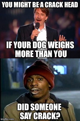 YOU MIGHT BE A CRACK HEAD; IF YOUR DOG WEIGHS MORE THAN YOU; DID SOMEONE SAY CRACK? | image tagged in memes | made w/ Imgflip meme maker