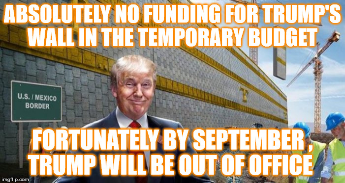 All and all  its just another dick by the wall ! | ABSOLUTELY NO FUNDING FOR TRUMP'S WALL IN THE TEMPORARY BUDGET; FORTUNATELY BY SEPTEMBER , TRUMP WILL BE OUT OF OFFICE | image tagged in donald trump | made w/ Imgflip meme maker