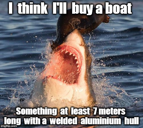 Travelonshark Meme | I  think  I'll  buy a boat; Something  at  least  7 meters  long  with a  welded  aluminium  hull | image tagged in memes,travelonshark | made w/ Imgflip meme maker