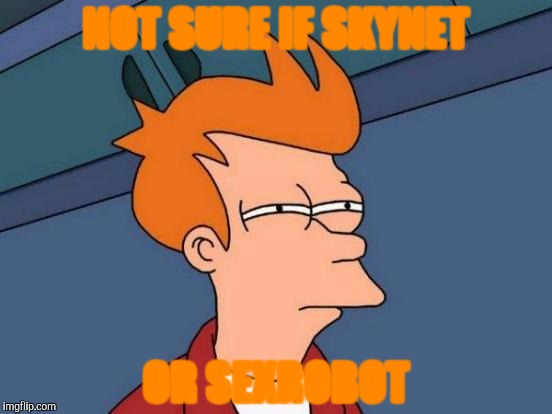 Futurama Fry | NOT SURE IF SKYNET; OR SEXROBOT | image tagged in memes,futurama fry | made w/ Imgflip meme maker