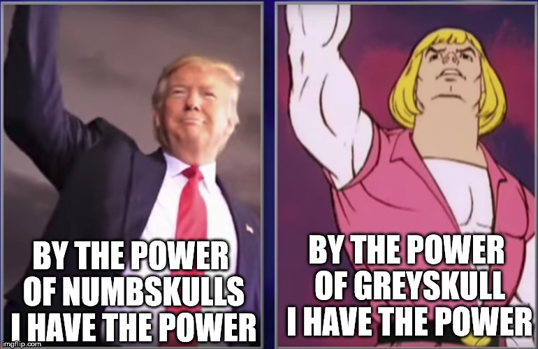 Trump vs He-Man | BY THE POWER OF NUMBSKULLS I HAVE THE POWER; BY THE POWER OF GREYSKULL I HAVE THE POWER | image tagged in he-man,donald trump,by the power of greyskull | made w/ Imgflip meme maker