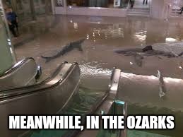 Flooded Mall | MEANWHILE, IN THE OZARKS | image tagged in flooded mall | made w/ Imgflip meme maker