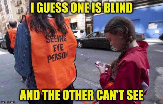 I wonder if the seeing person come with the phone? | I GUESS ONE IS BLIND; AND THE OTHER CAN'T SEE | image tagged in memes,you can't explain that | made w/ Imgflip meme maker