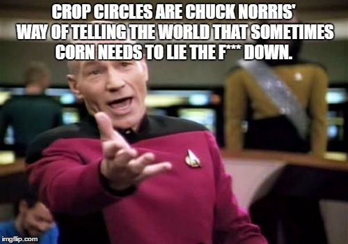 Picard Wtf Meme | CROP CIRCLES ARE CHUCK NORRIS' WAY OF TELLING THE WORLD THAT SOMETIMES CORN NEEDS TO LIE THE F*** DOWN. | image tagged in memes,picard wtf | made w/ Imgflip meme maker