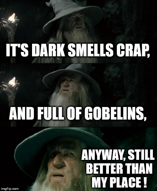 Confused Gandalf Meme | IT'S DARK SMELLS CRAP, AND FULL OF GOBELINS, ANYWAY, STILL BETTER THAN MY PLACE ! | image tagged in memes,confused gandalf | made w/ Imgflip meme maker