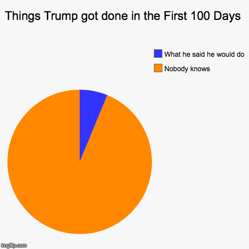 Well, the next four years will be long! | Things Trump got done in the First 100 Days | Nobody knows, What he said he would do | image tagged in funny,pie charts,donald trump,first 100 days,thebestmememakerever | made w/ Imgflip chart maker