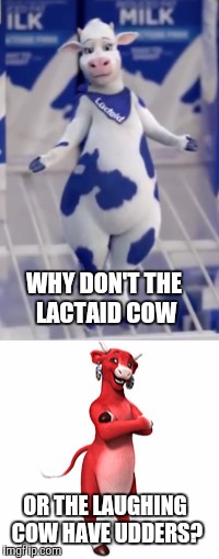 WHY DON'T THE LACTAID COW; OR THE LAUGHING COW HAVE UDDERS? | image tagged in memes,lactaid,laughing cow | made w/ Imgflip meme maker