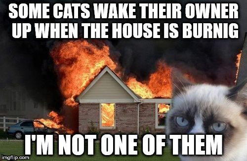 Burn Kitty Meme | SOME CATS WAKE THEIR OWNER UP WHEN THE HOUSE IS BURNIG; I'M NOT ONE OF THEM | image tagged in memes,burn kitty,grumpy cat | made w/ Imgflip meme maker