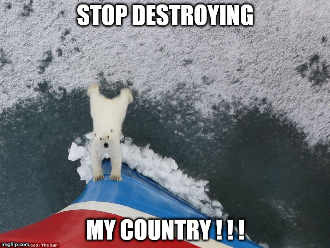 Polar bear tries to stop ship | STOP DESTROYING; MY COUNTRY ! ! ! | image tagged in meme,polar bear | made w/ Imgflip meme maker