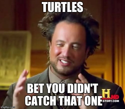 Ancient Aliens Meme | TURTLES; BET YOU DIDN'T CATCH THAT ONE | image tagged in memes,ancient aliens | made w/ Imgflip meme maker