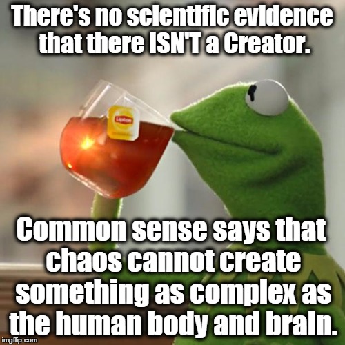 But That's None Of My Business Meme | There's no scientific evidence that there ISN'T a Creator. Common sense says that chaos cannot create something as complex as the human body | image tagged in memes,but thats none of my business,kermit the frog | made w/ Imgflip meme maker