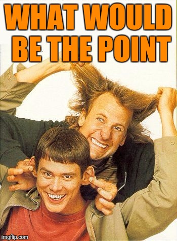 DUMB and dumber | WHAT WOULD BE THE POINT | image tagged in dumb and dumber | made w/ Imgflip meme maker