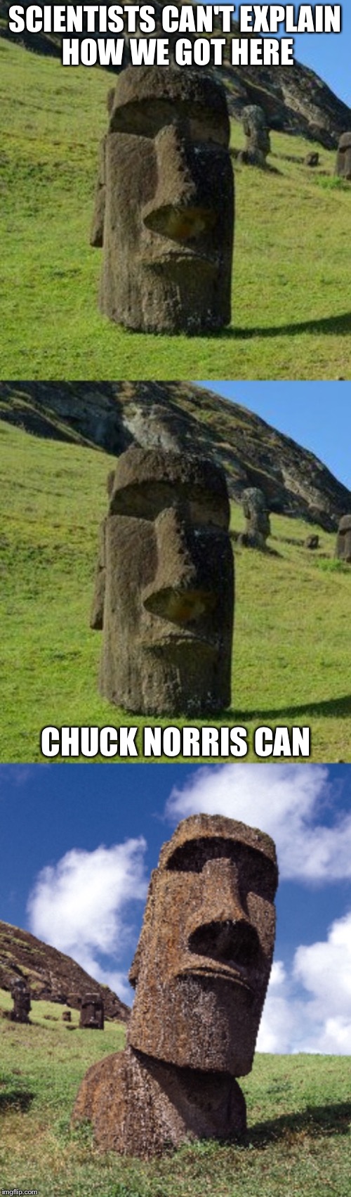 Bad Pun Moai | SCIENTISTS CAN'T EXPLAIN HOW WE GOT HERE; CHUCK NORRIS CAN | image tagged in bad pun moai,memes,chuck norris week | made w/ Imgflip meme maker