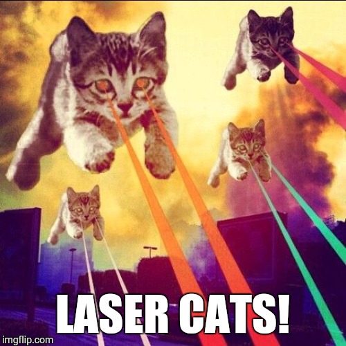 Laser Cats | LASER CATS! | image tagged in laser cats | made w/ Imgflip meme maker
