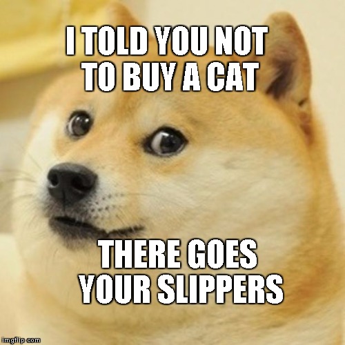 Doge Meme | I TOLD YOU NOT TO BUY A CAT; THERE GOES YOUR SLIPPERS | image tagged in memes,doge | made w/ Imgflip meme maker