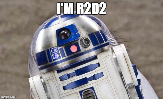 R2 sealion | I'M R2D2 | image tagged in r2 sealion | made w/ Imgflip meme maker