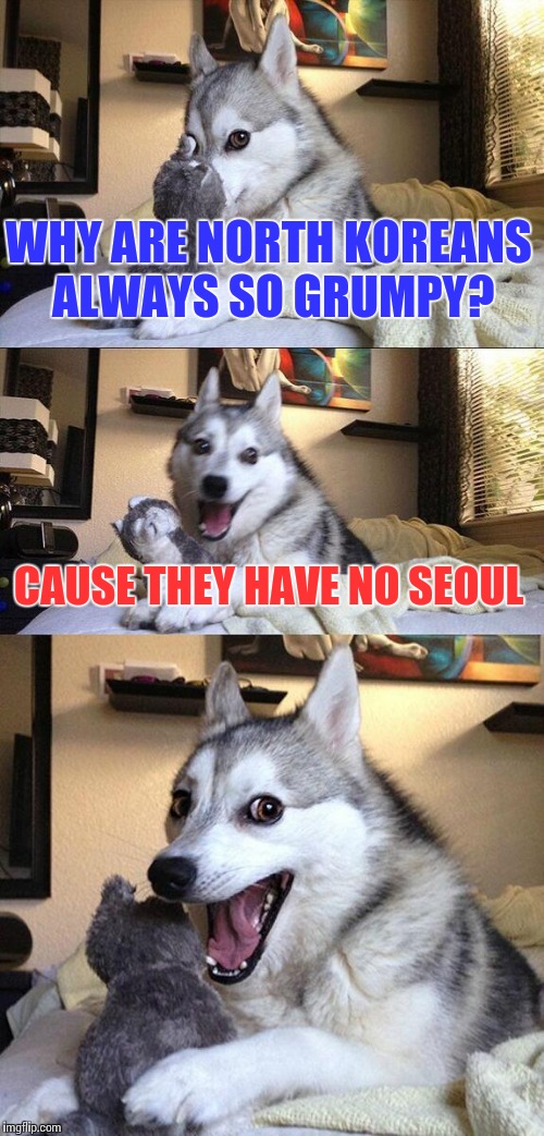 Bad Pun Dog Meme | WHY ARE NORTH KOREANS ALWAYS SO GRUMPY? CAUSE THEY HAVE NO SEOUL | image tagged in memes,bad pun dog,trhtimmy | made w/ Imgflip meme maker