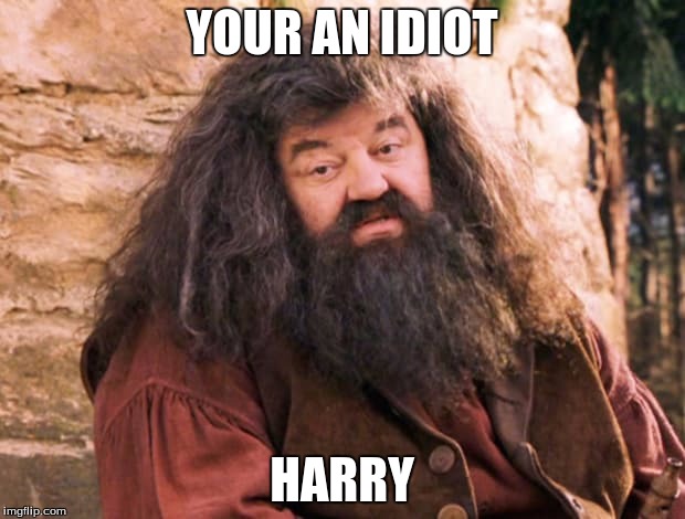 YOUR AN IDIOT; HARRY | image tagged in harry | made w/ Imgflip meme maker