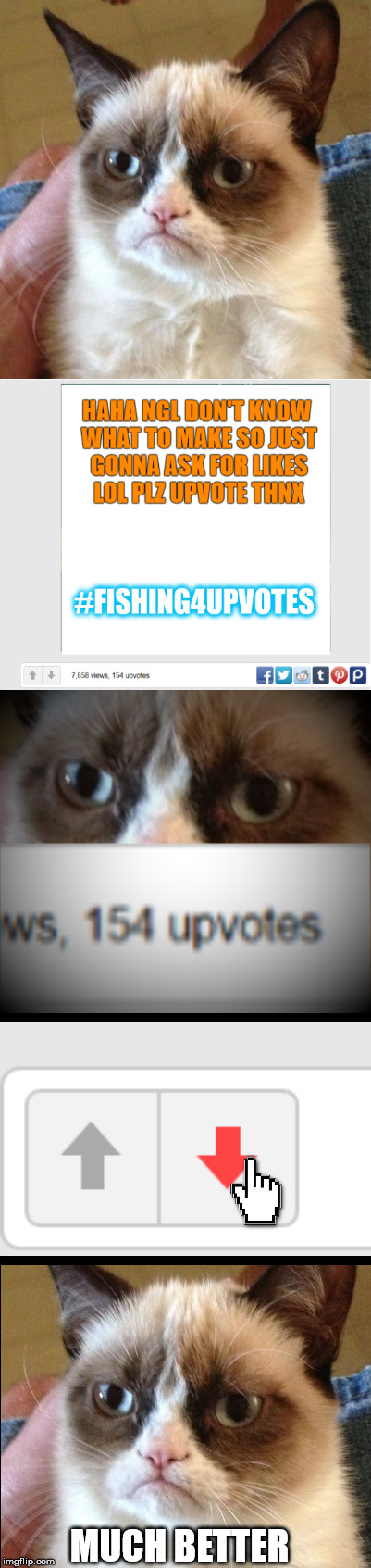 When you see someone fishing for upvotes in the least creative way possible and getting hella likes... | MUCH BETTER | image tagged in fishing for upvotes,grumpy cat,imgflip,imgflip users,memes,funny | made w/ Imgflip meme maker