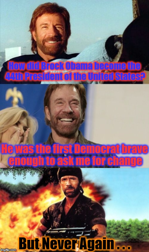 How did Brock Obama become the 44th President of the United States? He was the first Democrat brave enough to ask me for change; But Never Again . . . | image tagged in awesome pun chuck norris | made w/ Imgflip meme maker